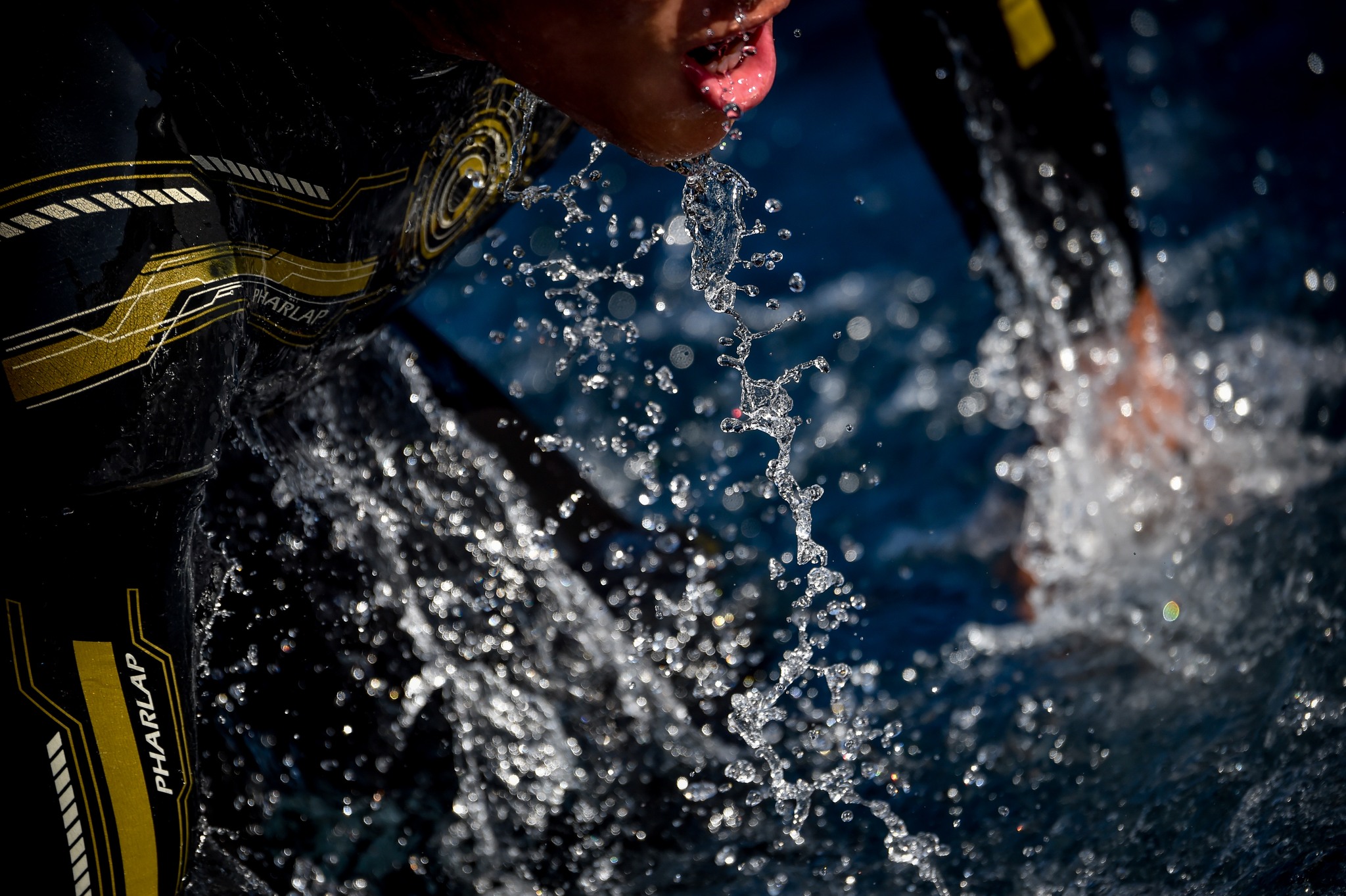 Curso Entrenador de Triatlón nivel II