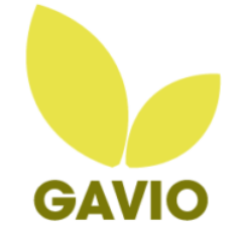Gavio