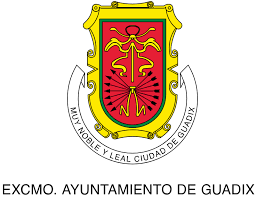 AYUNTAMIENTO DE GUADIX
