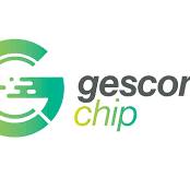 GESCONCHIP Y DELEGACIÓN DE DEPORTES DE ROTA